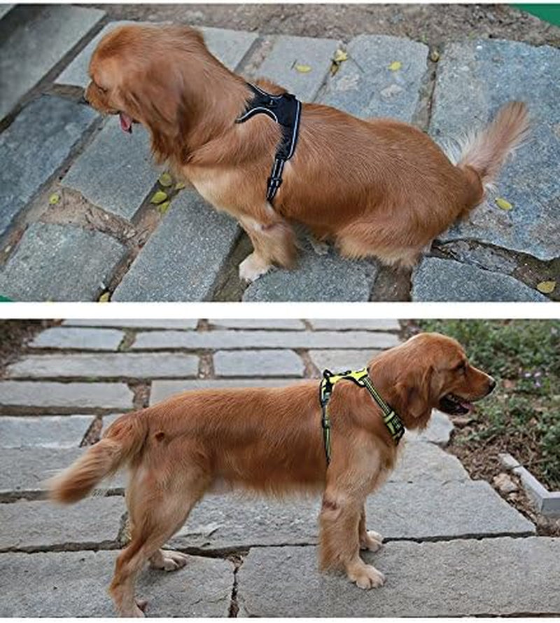 Truelove Soft Front Dog Harness .Reflective No Pull Harness with Handle and 2 Leash Attachments Gray