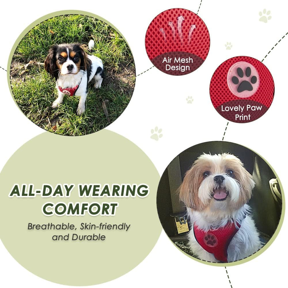 Dog Seat Belt Harness for Car, Dog Car Harness Adjustable Mesh Breathable & Dog Seatbelt Safety Tether with Elastic Bungee for Small Medium Large Pets(Red, Single Clip, S)