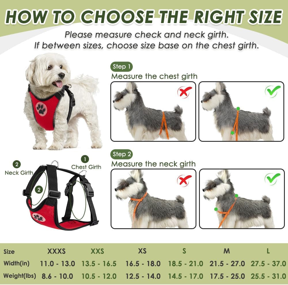 Dog Seat Belt Harness for Car, Dog Car Harness Adjustable Mesh Breathable & Dog Seatbelt Safety Tether with Elastic Bungee for Small Medium Large Pets(Red, Single Clip, S)