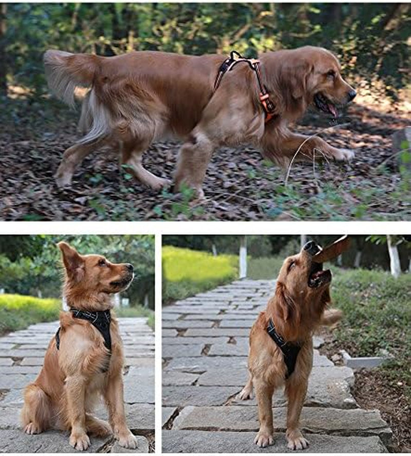 Truelove Soft Front Dog Harness .Reflective No Pull Harness with Handle and 2 Leash Attachments Gray
