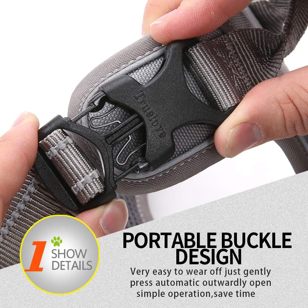 Truelove Soft Front Dog Harness .Reflective No Pull Harness with Handle and 2 Leash Attachments Gray