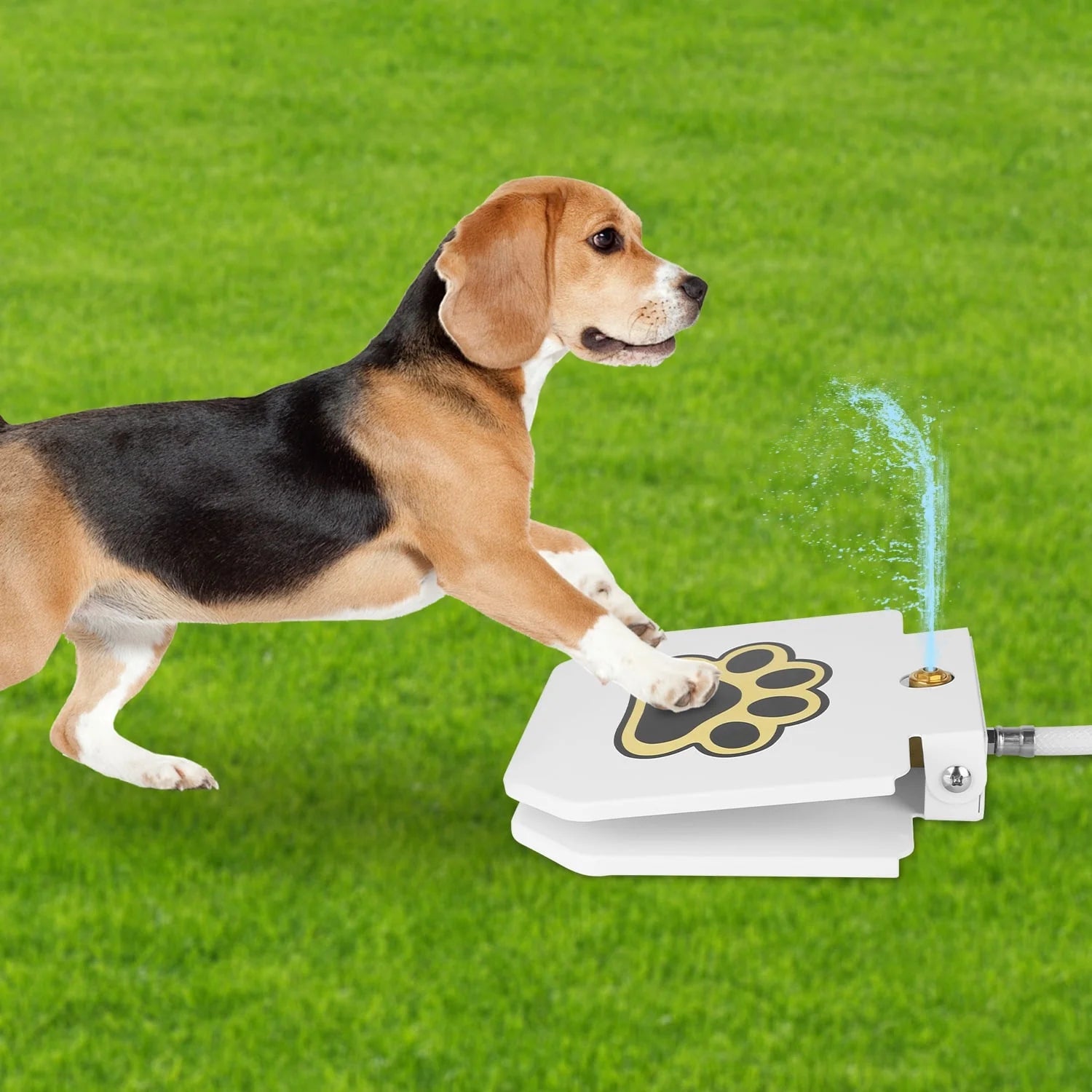 Dog Fountain Dog Sprinkler,  Outdoor Dog Drinking Water Step on Easy Paw Activated Drinking