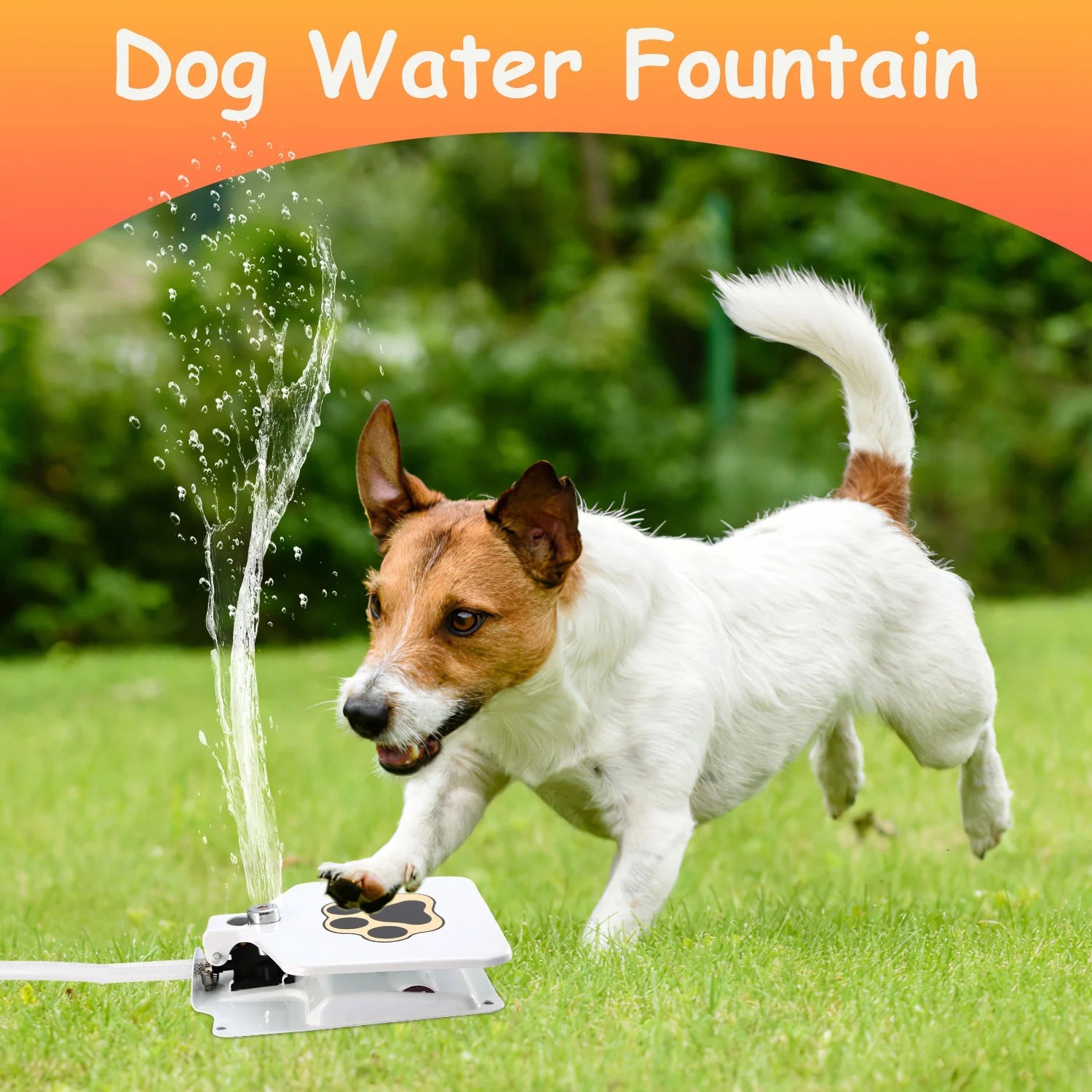Dog Fountain Dog Sprinkler,  Outdoor Dog Drinking Water Step on Easy Paw Activated Drinking