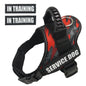 Walking Dog Harnesses Safety No-Pull Breathable Service Dog Vest Collar Adjustable Reflective Pet Harness with Outdoor Training