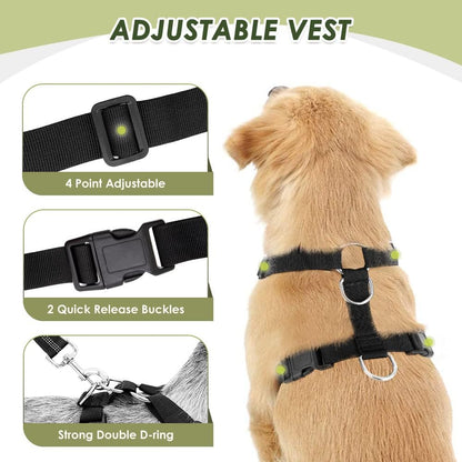 Dog Seat Belt Harness for Car, Dog Car Harness Adjustable Mesh Breathable & Dog Seatbelt Safety Tether with Elastic Bungee for Small Medium Large Pets(Red, Single Clip, S)